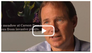 Switzer Video