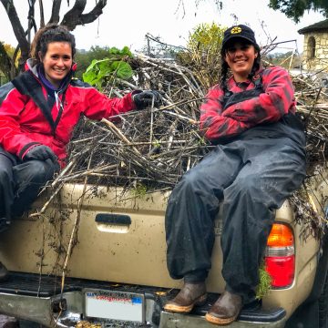 Two smiling women with dark hair in bright red jackets and dark pants site on a pile of dry French broom plants in the bed of a beige truck.