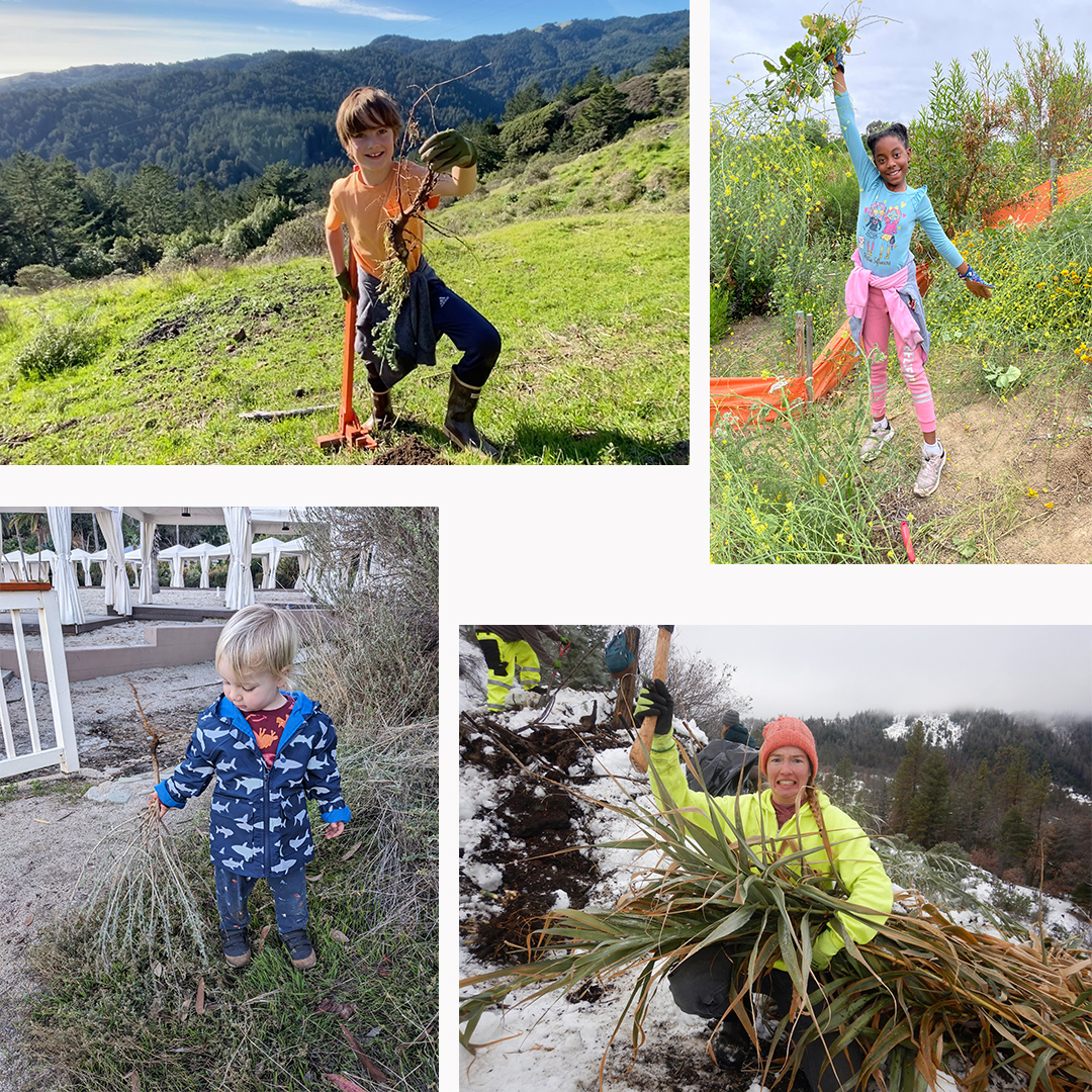 Collage with four photos: young boy with weed wrench on a green hill, young girl with mustard aloft on a dirt path, woman in orange cap holding a pulled crown of Arundo, and a toddler holding pulled broom by a white fence