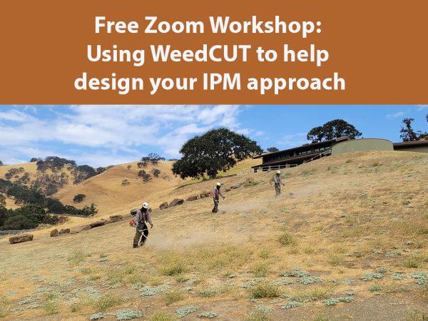 3 distant figures in protective gear use weed whackers on a grassy brown slope. Text overlay "Free Zoom workshop: Using WeedCUT to help design your IPM approach"